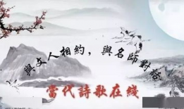 古诗视频,古诗视频中的古典韵味与时代共鸣